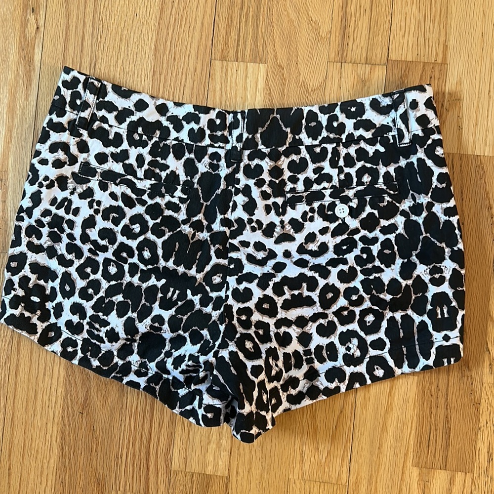 NWOT leopard Shorts - Picture 3 of 4